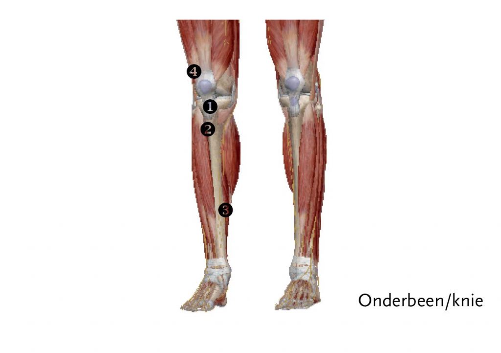 Pijn In Onderbeen Of Knie Zie Hier Over Oorzaken Voetflex Helpt Snel